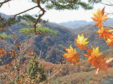 御極大明，與自然美景的親密旅行，探尋內(nèi)心平和之旅