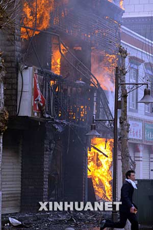 西藏最新事件，雪域高原的溫馨日常觀察