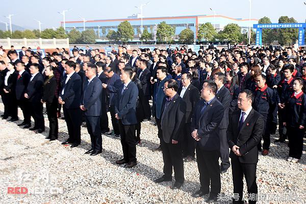 韶山紅網(wǎng)最新動(dòng)態(tài)，觀點(diǎn)闡述與深度解析