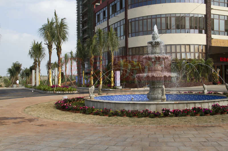 棕櫚水城最新動(dòng)態(tài)，塑造理想生活新標(biāo)桿！