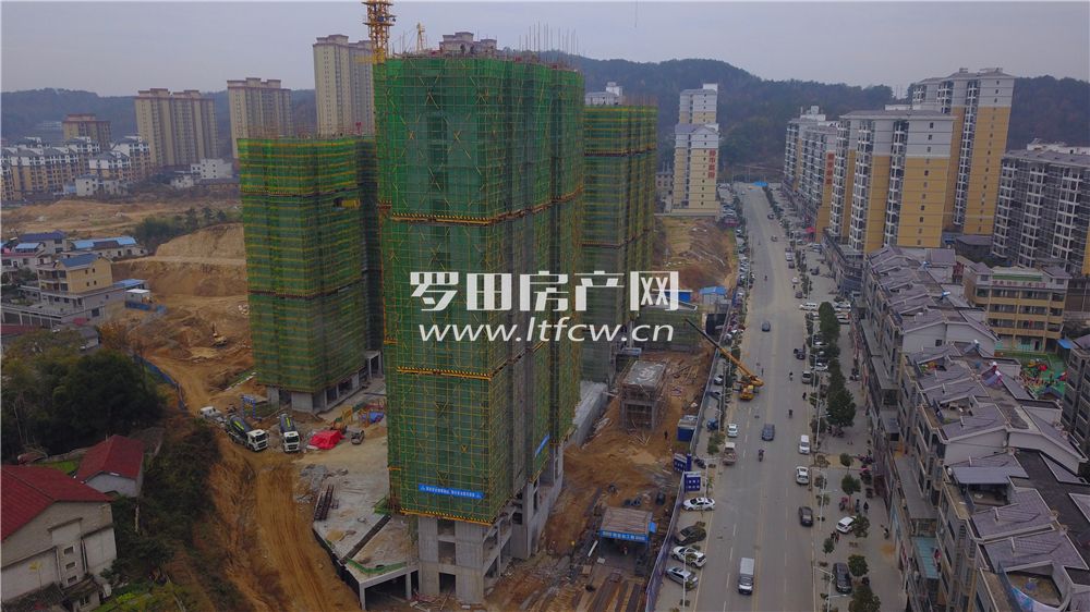 羅田最新房價揭秘，洞悉市場動態(tài)，掌握房價走勢！