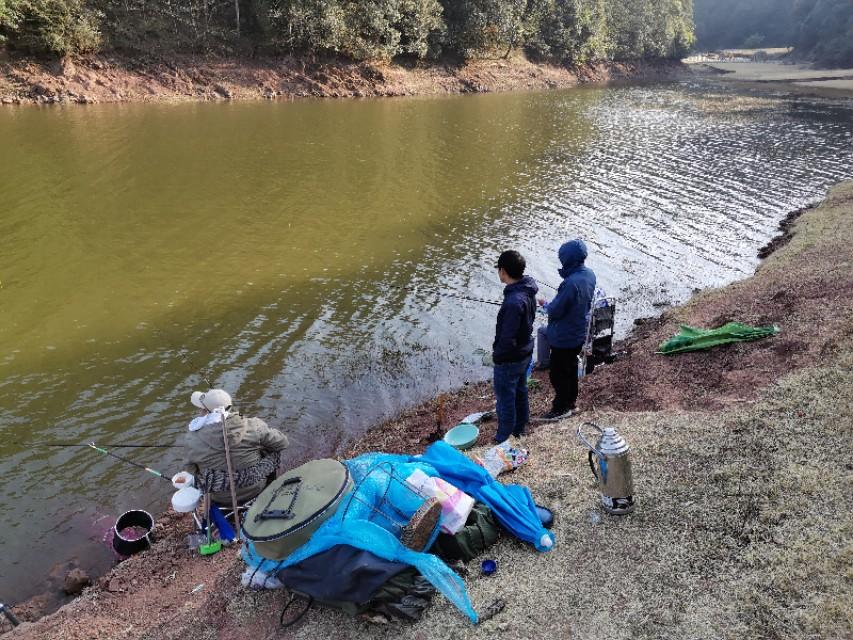 最新水庫(kù)釣魚(yú)視頻，探索釣魚(yú)樂(lè)趣與技巧全攻略