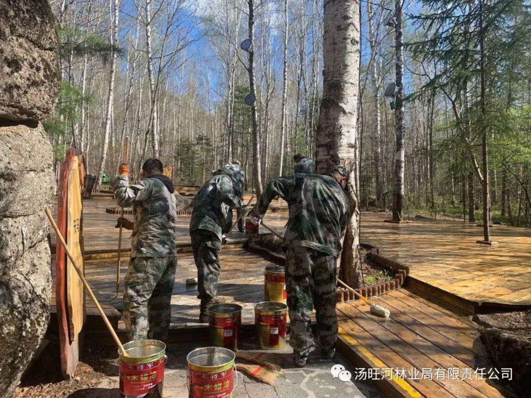 探尋神秘寶石世界的獨(dú)特魅力，最新奇石新聞報(bào)道