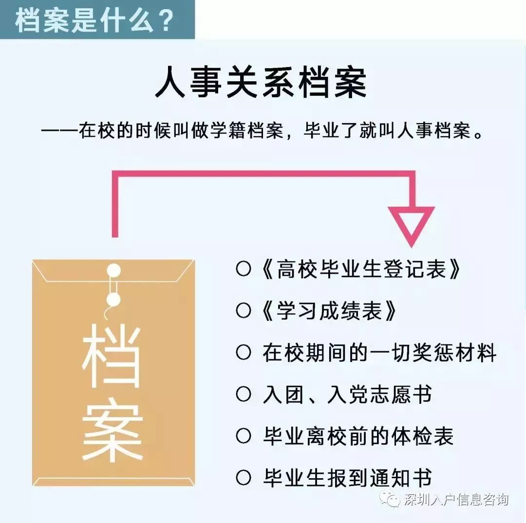 檔案人員補(bǔ)貼最新觀點(diǎn)論述，探討補(bǔ)貼政策與檔案人員發(fā)展的關(guān)系