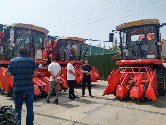 邳州玉米最新價格，時代見證下的市場動態(tài)