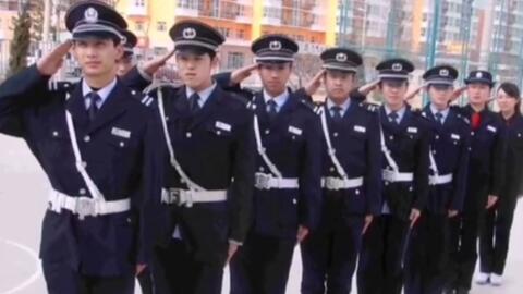 寧國最新保安招聘及其探討，行業(yè)現(xiàn)狀與發(fā)展趨勢分析