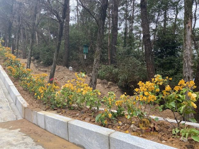 桂平手工，傳統(tǒng)與創(chuàng)新的完美交融