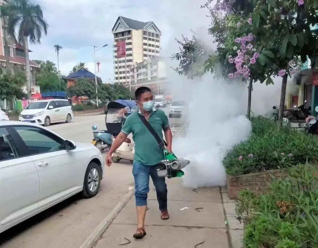 景洪登革熱最新疫情動態(tài)，挑戰(zhàn)與自信之光的博弈