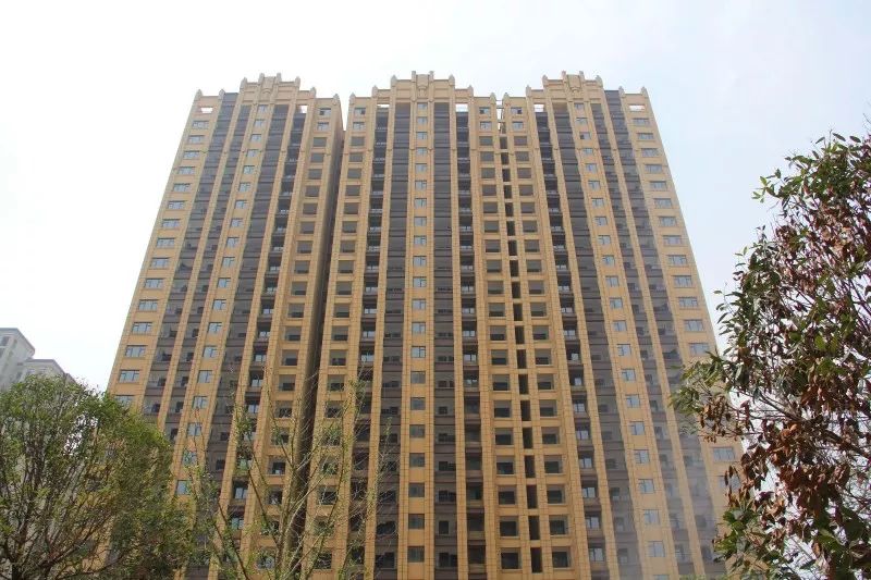 紫荊城邦最新動態(tài)，揭開未來生活新篇章的序幕