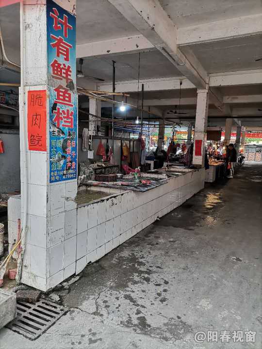 最新魚檔轉(zhuǎn)讓，把握商機，輕松開啟水產(chǎn)養(yǎng)殖事業(yè)之路