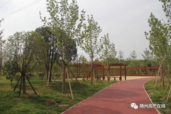 隨州桃園公園最新動態(tài)揭秘，驚喜連連，不容錯過！