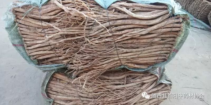 渭源黨參干貨最新價(jià)格及獲取指南，了解黨參干貨價(jià)格走勢(shì)與行情分析