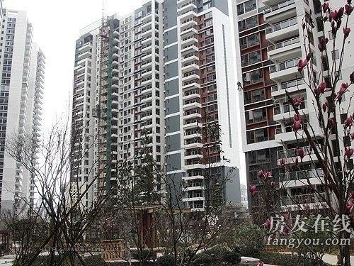 綠地長(zhǎng)島公寓最新價(jià)格揭秘，小巷深處的隱藏寶藏