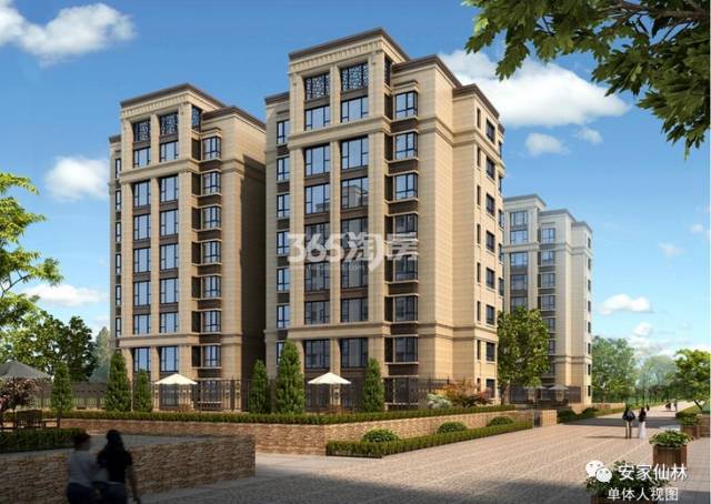 銀城東岳府最新動態(tài)分析揭秘，最新消息與進(jìn)展