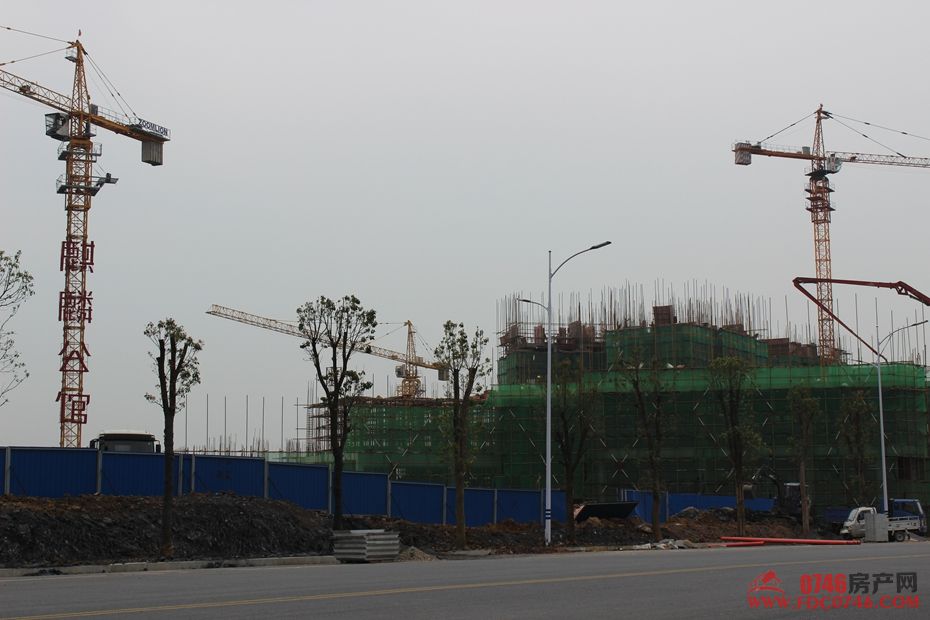 池州麒麟公館最新動(dòng)態(tài)揭秘，最新進(jìn)展與資訊更新