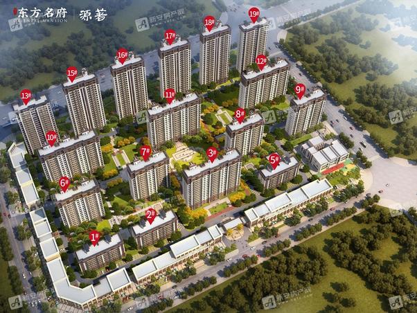 明光東郡最新動態(tài)，友情的綻放與家的溫馨日常