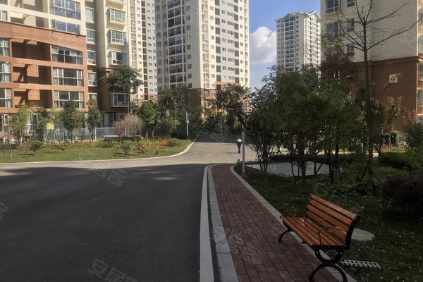 建禮家園最新動(dòng)態(tài)，小巷中的隱藏瑰寶揭秘