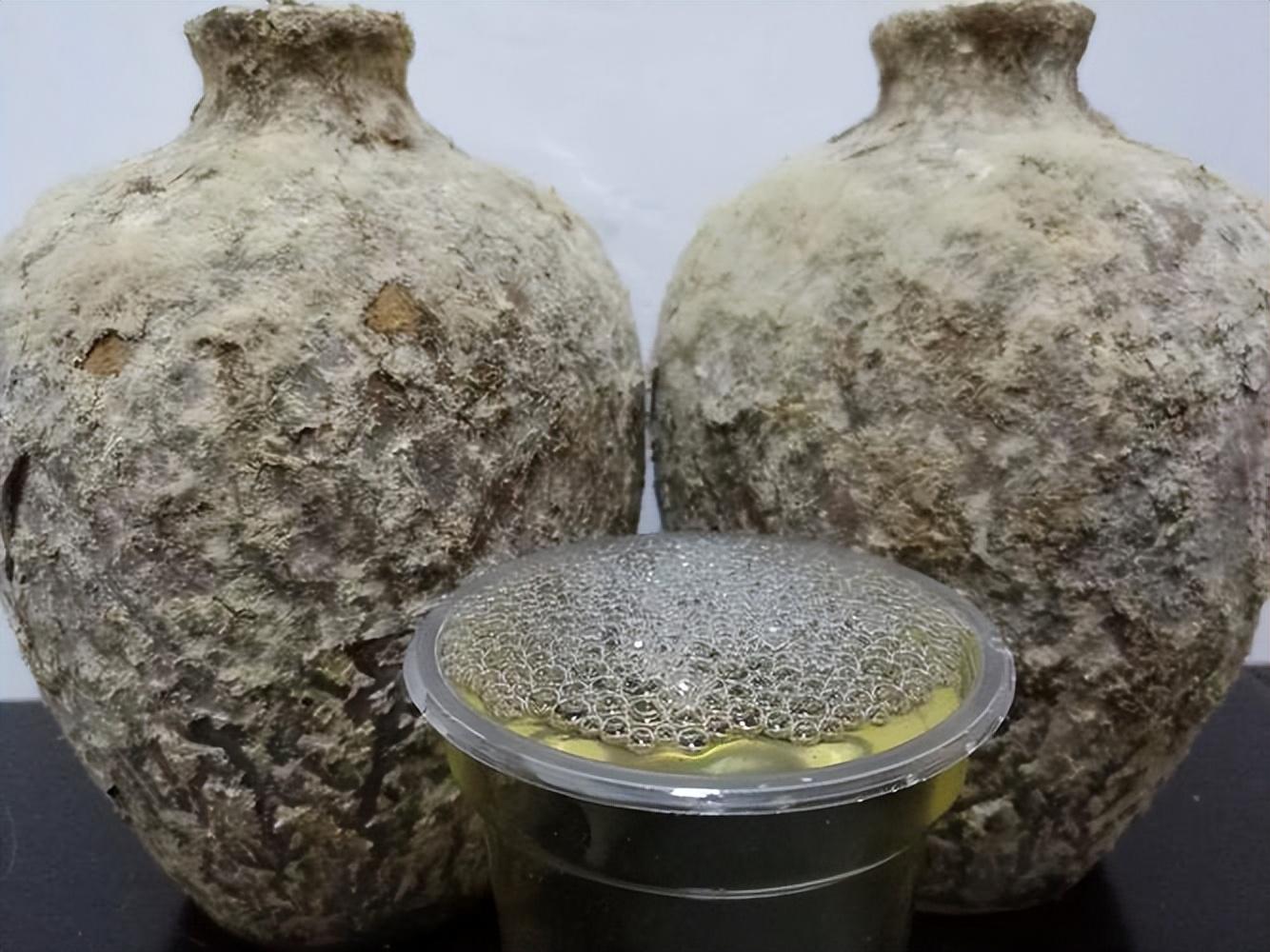 仁懷房屋出售最新信息，科技與家居融合，未來家居新體驗重磅推出