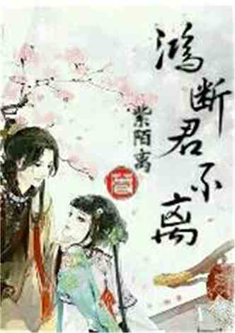 沈南汐最新小說(shuō)，知識(shí)的力量，成就夢(mèng)想的翅膀之路