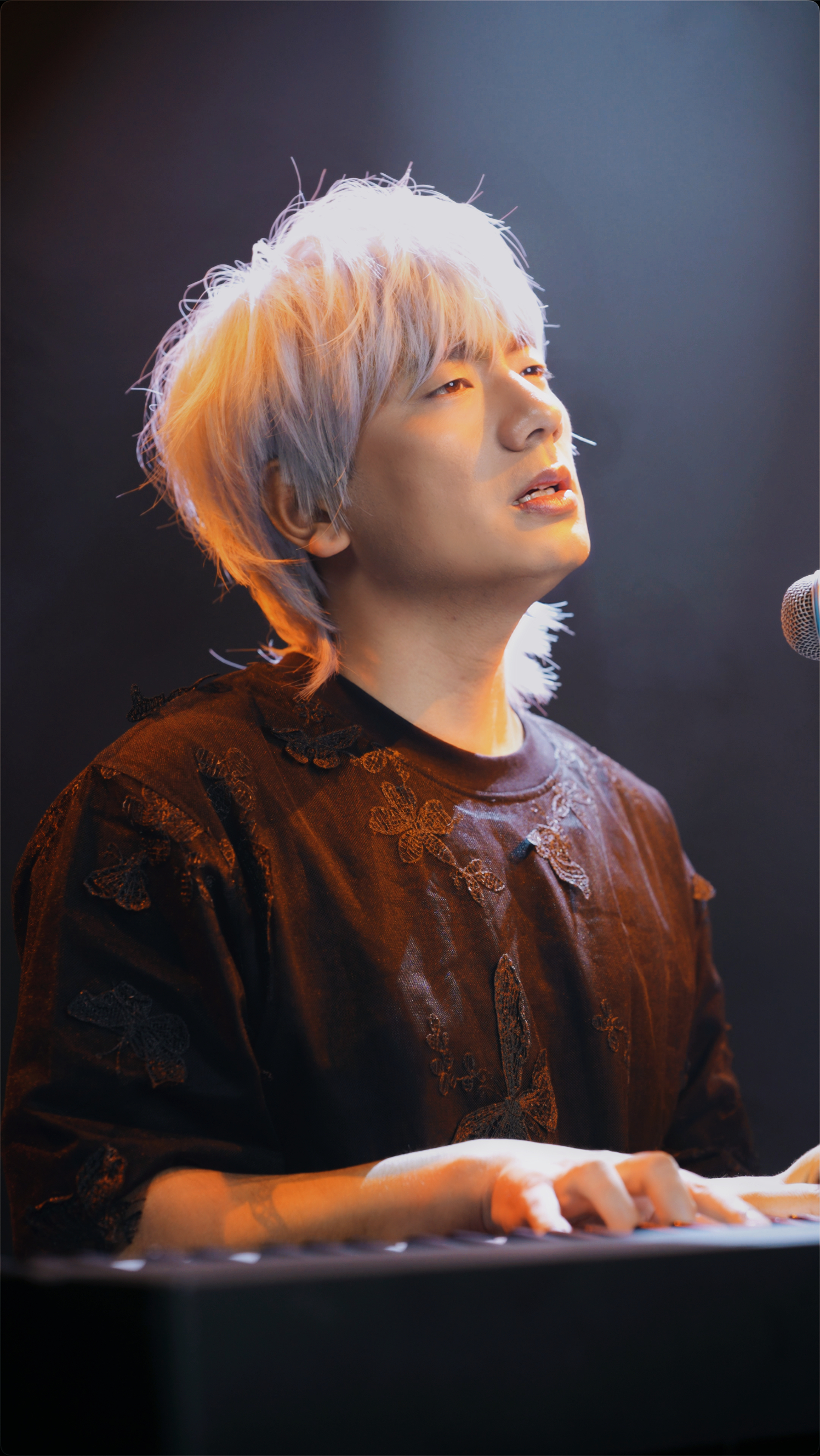 冷漠2024最新預告新歌，音樂與時代交融的期待之聲