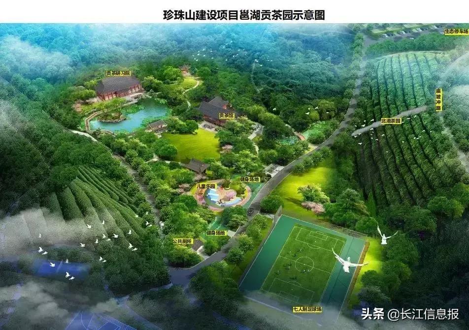 岳陽(yáng)北港小學(xué)最新動(dòng)態(tài)揭秘，校園新聞與活動(dòng)更新