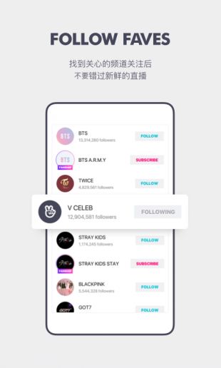 VAPP最新版下載，觀點論述與獲取渠道