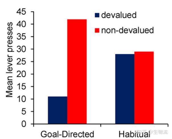 精準(zhǔn)一碼免費(fèi)公開澳門,數(shù)據(jù)導(dǎo)向計(jì)劃_EPE83.694習(xí)慣版