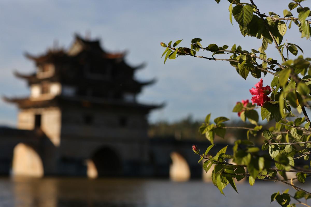 大冰最新力作，智能生活新紀(jì)元——科技與生活的完美融合