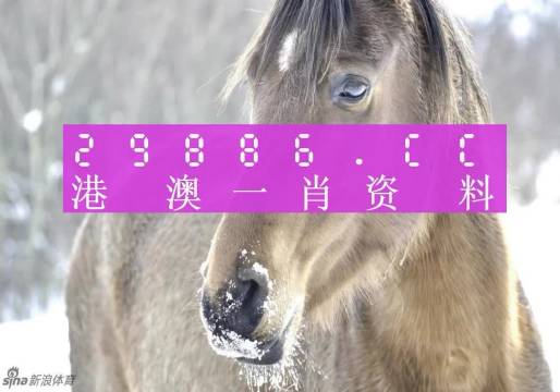 澳門精準(zhǔn)一肖一碼100%精準(zhǔn),高度協(xié)調(diào)實施_供給版77.904