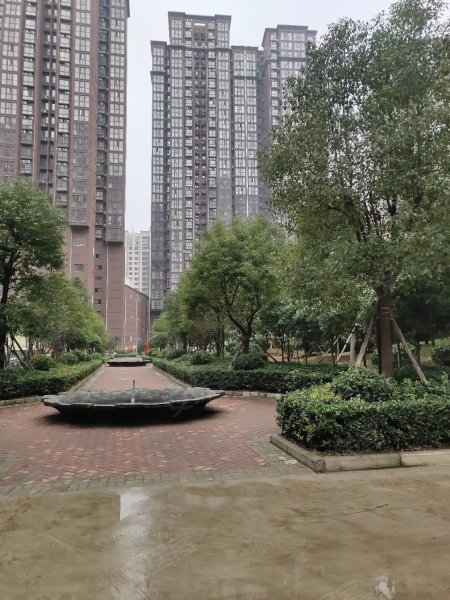 南陽盛世御苑最新動態(tài)揭秘，全面指南與步驟詳解