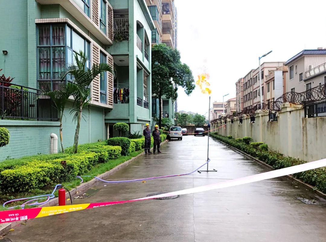 中山東鳳佛奧最新動態(tài)，自然美景的探索之旅，尋找內(nèi)心平和與寧靜