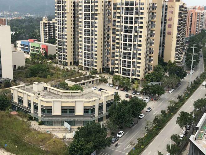 膠南山水雅居最新動(dòng)態(tài)，鄰里日常趣事與情感紐帶分享