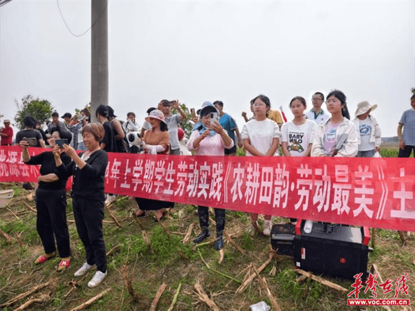 桃源木塘垸鄉(xiāng)新動(dòng)態(tài)，趣事連連，真摯友情綻放鄉(xiāng)間