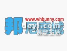 葫蘆島最新營業(yè)員招聘動態(tài)，背景分析與影響探討