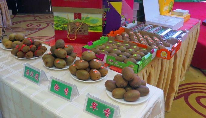 嘉興對(duì)接上海最新進(jìn)展，城市崛起中的自信與成就感展現(xiàn)新面貌