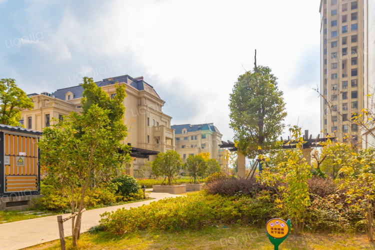 塞納藍灣二期最新動態(tài)，變化中的學習之旅，自信與成就感的源泉啟航