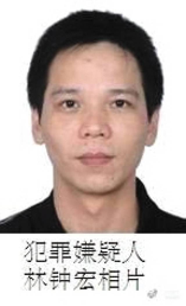 張宸案最新進(jìn)展，城市生活的溫馨日常關(guān)注