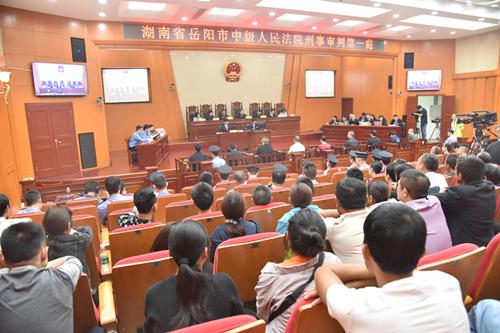 聶祖峰最新探索之旅，自然美景中的心靈尋覓與平和之境