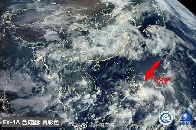臺風鸚鵡的最新動態(tài)，逆風翱翔的力量與學習魅力