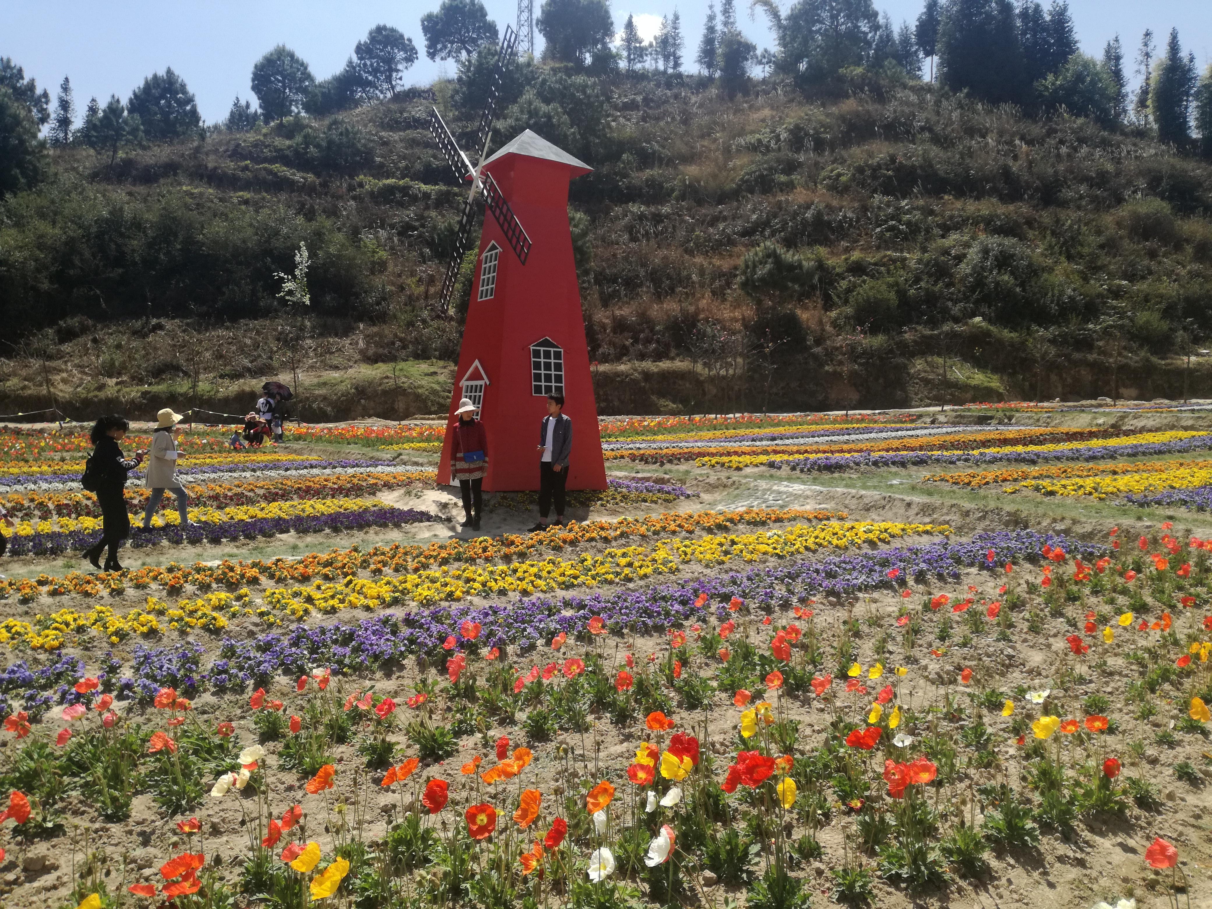 臨滄市最新探索，自然美景之旅，尋找內心平和的旅程