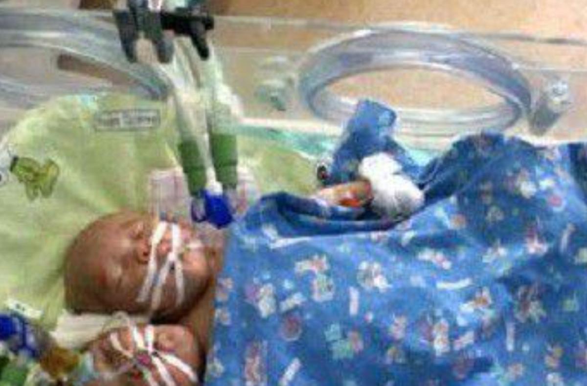 雙頭姐妹，時(shí)代背景下的傳奇故事最新進(jìn)展