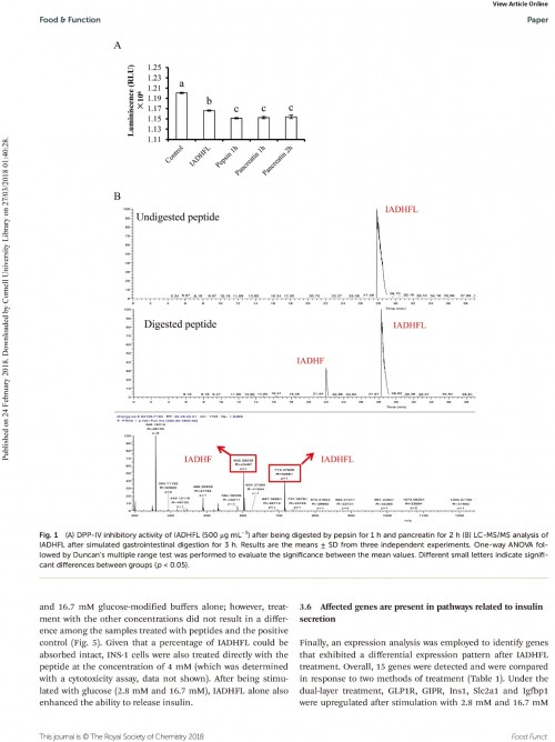 糖肽最新文獻(xiàn)，自然之旅的心靈探尋之旅，尋找內(nèi)心的寧?kù)o
