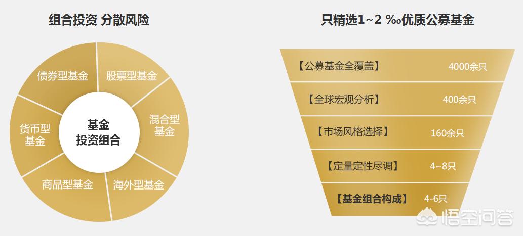 深度解析，今年養(yǎng)雞產業(yè)趨勢與前景展望