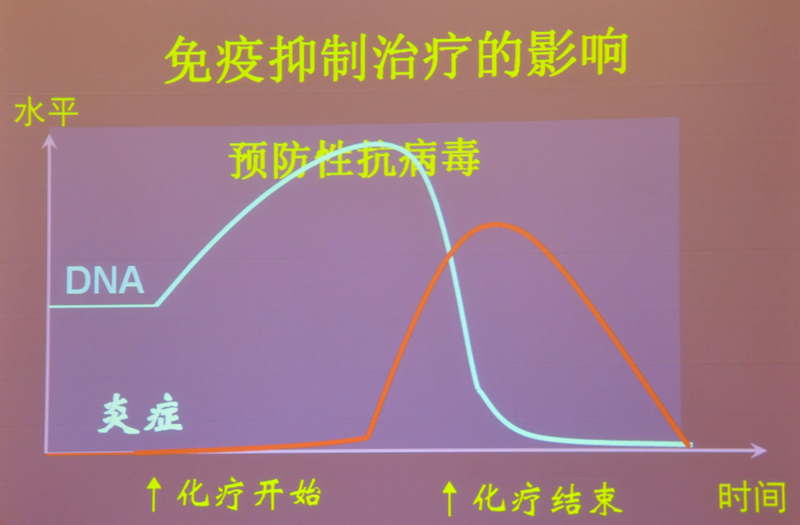 肝炎新進(jìn)展揭秘，小巷深處的秘密小店探索