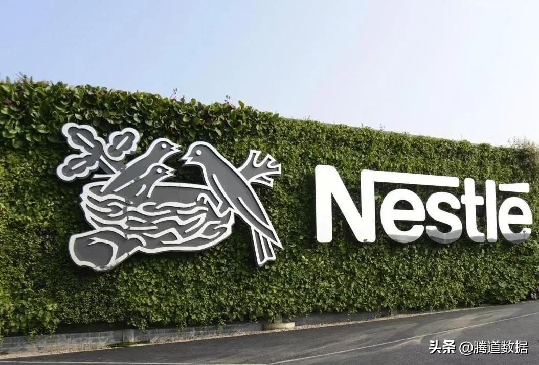 最新電力資訊探秘，巷弄深處的電力奇趣小店