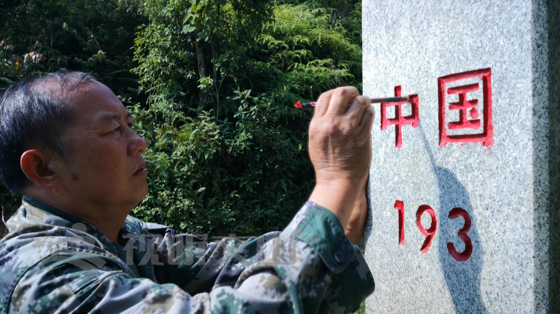 文山黃牛打架比賽，傳統(tǒng)與爭(zhēng)議的碰撞