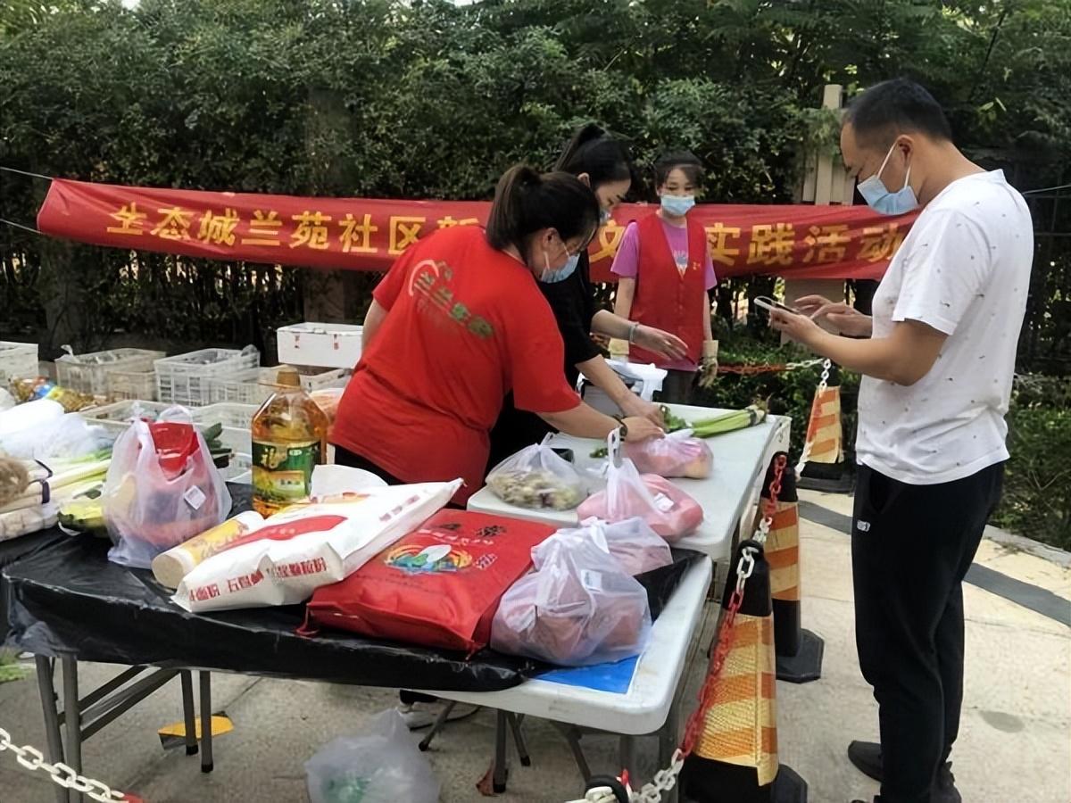 保利華潤紫云價(jià)格深度解析，探尋背后的故事與地位影響