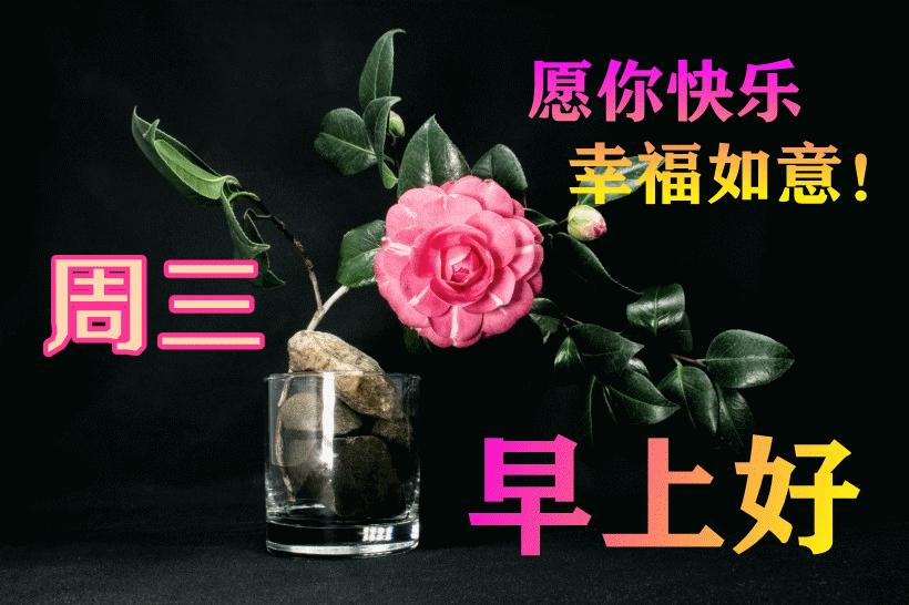 最新早晨問候動態(tài)表情包，溫馨問候，從表情開始！