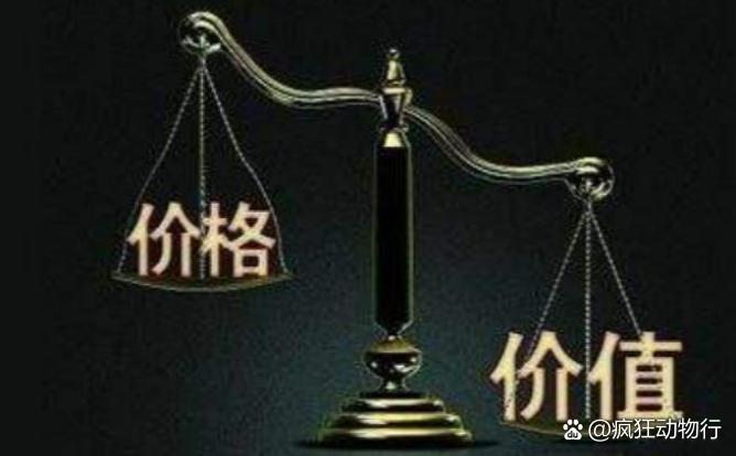價格與價值解析，差異何在？