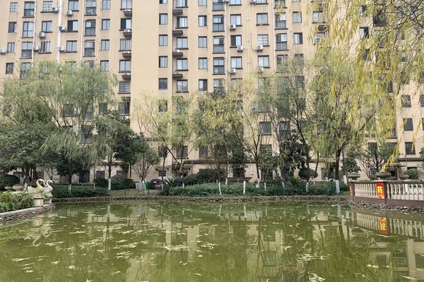 中豪明珠城最新價(jià)格，時(shí)代印記與城市的脈動(dòng)